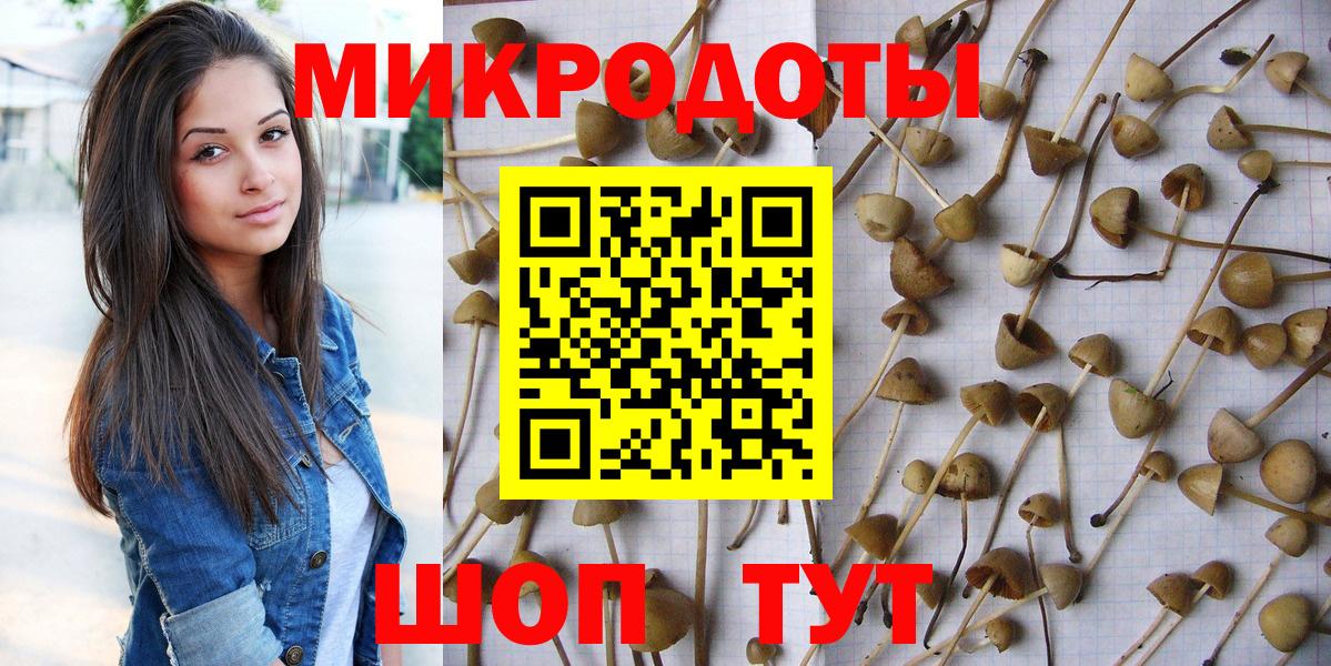 Псилоцибиновые грибы прущие грибы Богородск
