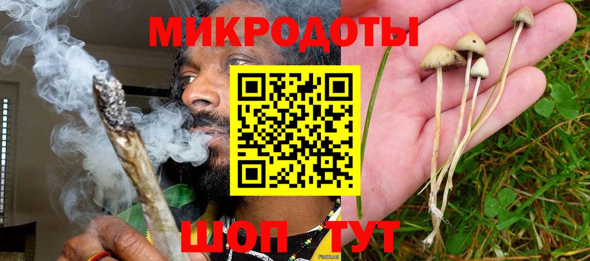 Богородск  Галлюциногенные грибы прущие грибы  Вход с VPN  Псилоцибиновые грибы GOLDEN TEACHER 